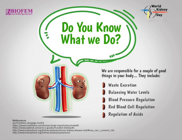 KIDNEY FACTS WHAT YOU SHOULD KNOW to Biofemgroup