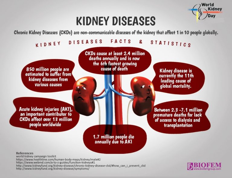 KIDNEY FACTS WHAT YOU SHOULD KNOW to Biofemgroup