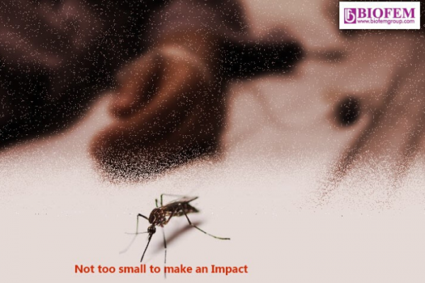 FACT SHEET ON MALARIA