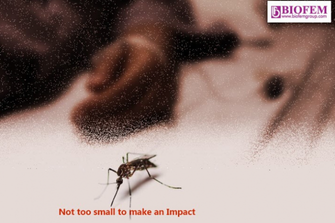 FACT SHEET ON MALARIA