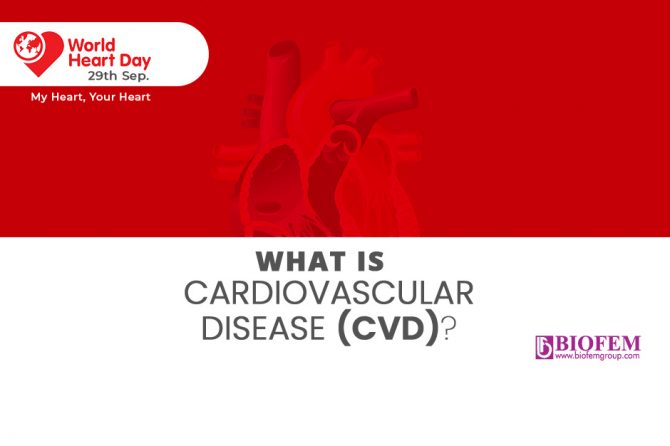 WHAT ARE CARDIOVASCULAR DISEASES?