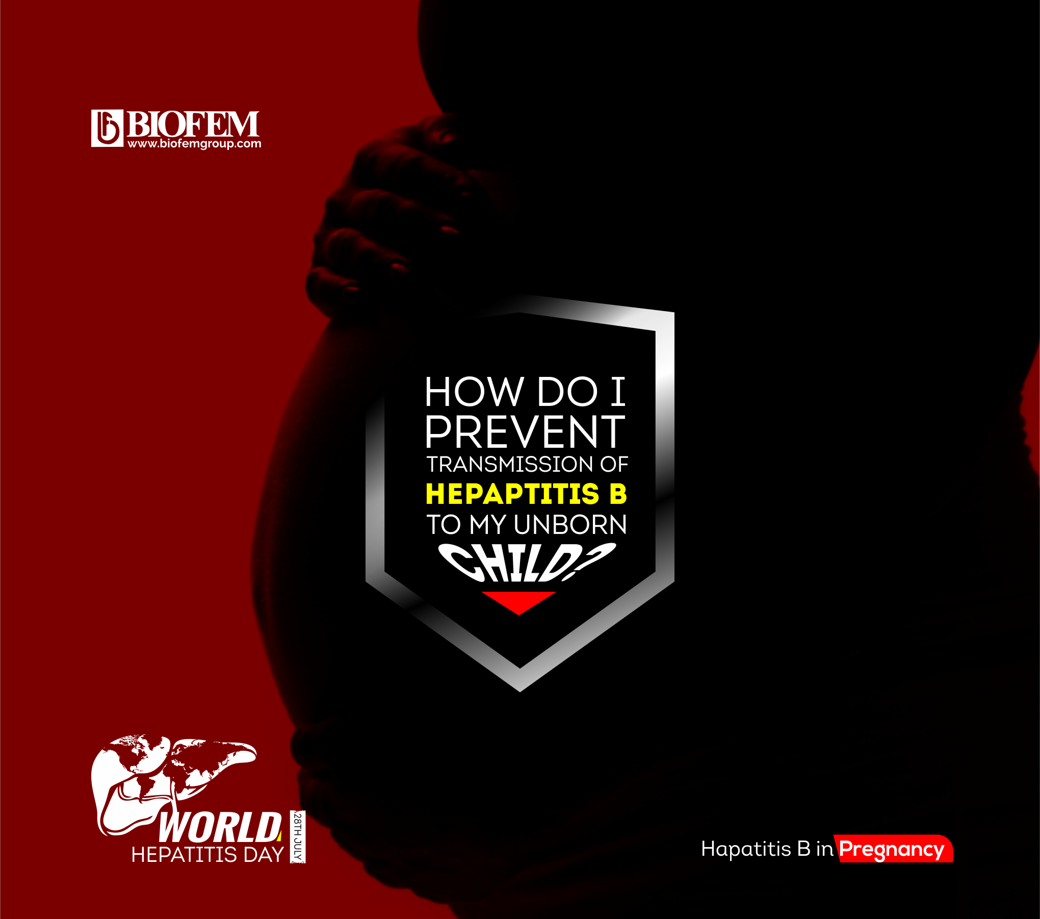 hepatitis b in pregnancy
